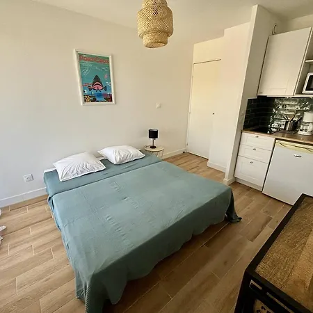 Studio Climatise Renove Proche Plage A - Fr-1-816-12 Daire Bormes-les-Mimosas